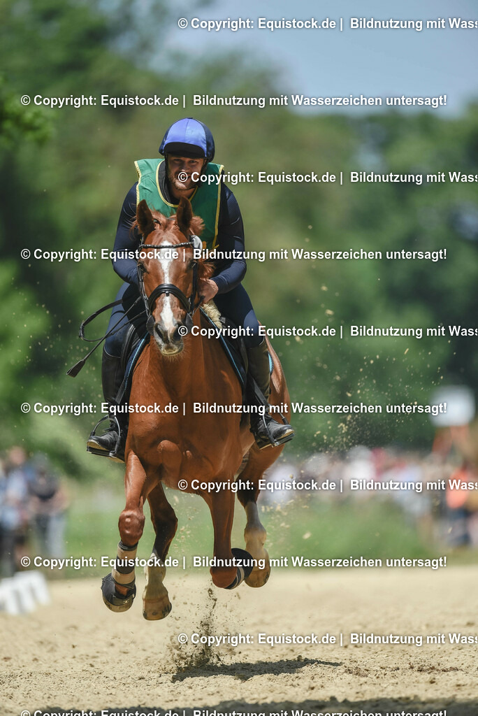 20230527_27_CCI4_Gelände_0028 | equistock