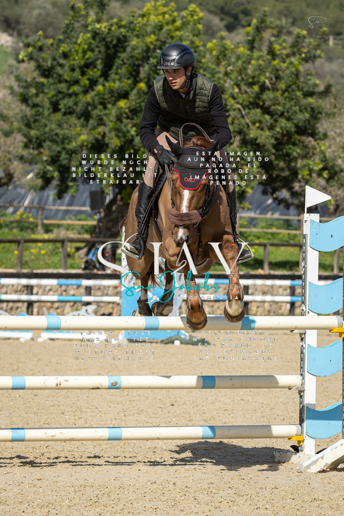 IMG_6635 | s-jay-photography - Realisiert mit Pictrs.com