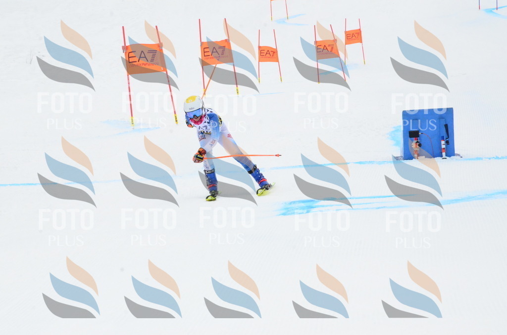 _ELE3550 | holidayphoto