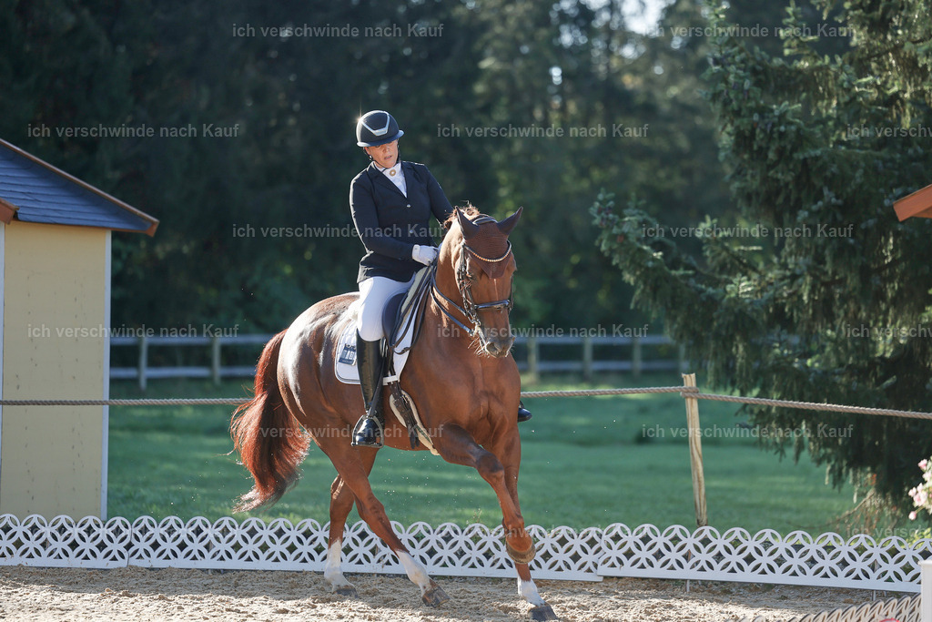 09_1-230-DRESSUR  S_  -StoibPH-5546 | working equitationturnier fotograf videograf stoibphotography marixx film working equitation deutschland reitsport turnierfotografie eventfotografie equestrian events