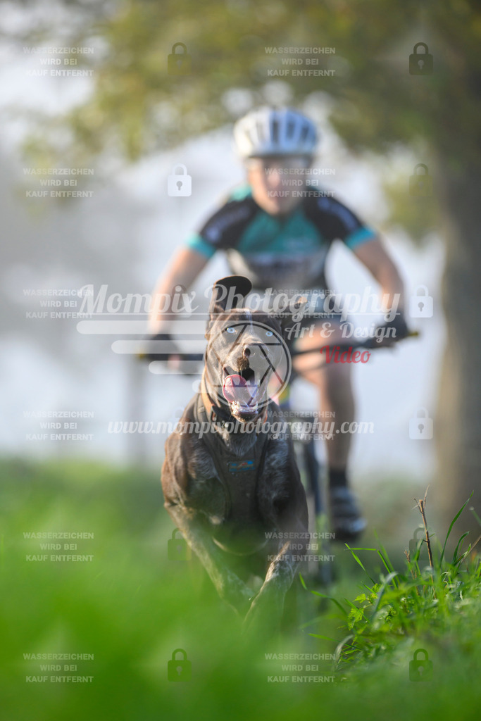 MompixPhotography_20TSB_E3_Bike-127 | PayLife