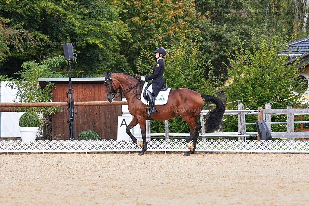 11-003-Dressur S___-Marixx-1724 | working equitationturnier fotograf videograf stoibphotography marixx film working equitation deutschland reitsport turnierfotografie eventfotografie equestrian events