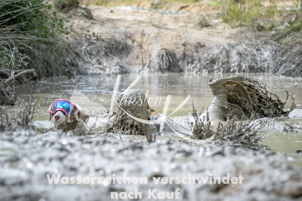 1059_ZZ90874 | kk-dogfotos