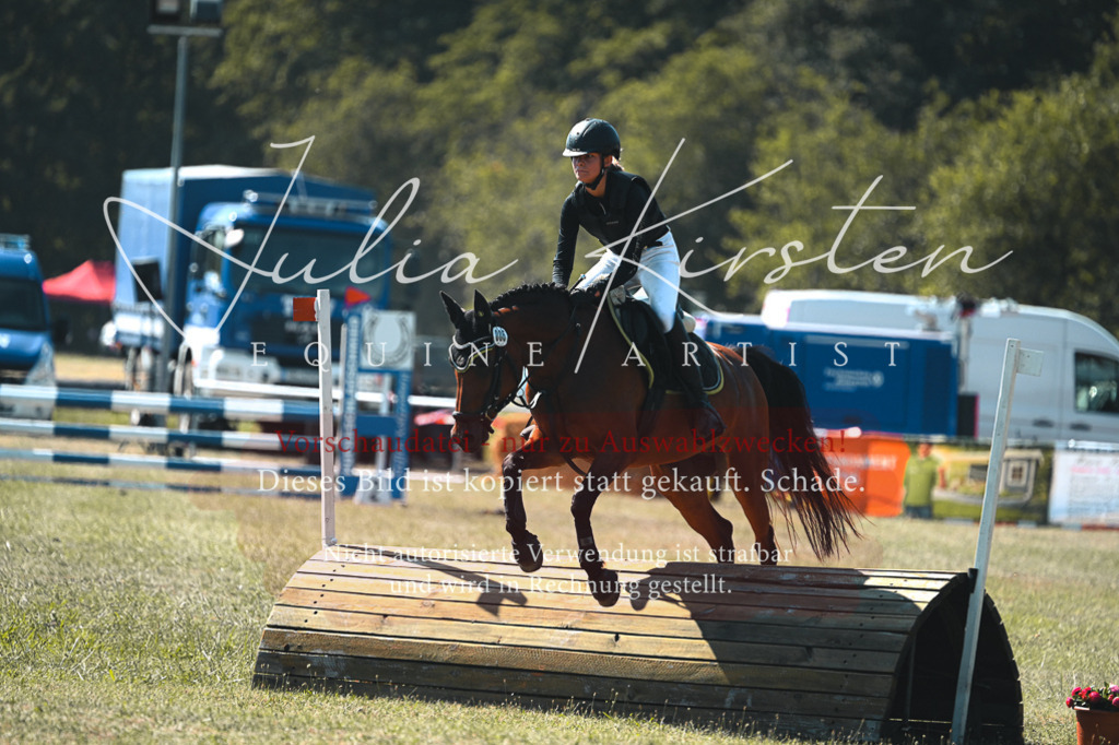DSC_8158 | Pferde- und Turnierfotografie in Westsachsen. Pferdeportraits, Auftragszeichnungen und intuitive Kunst.