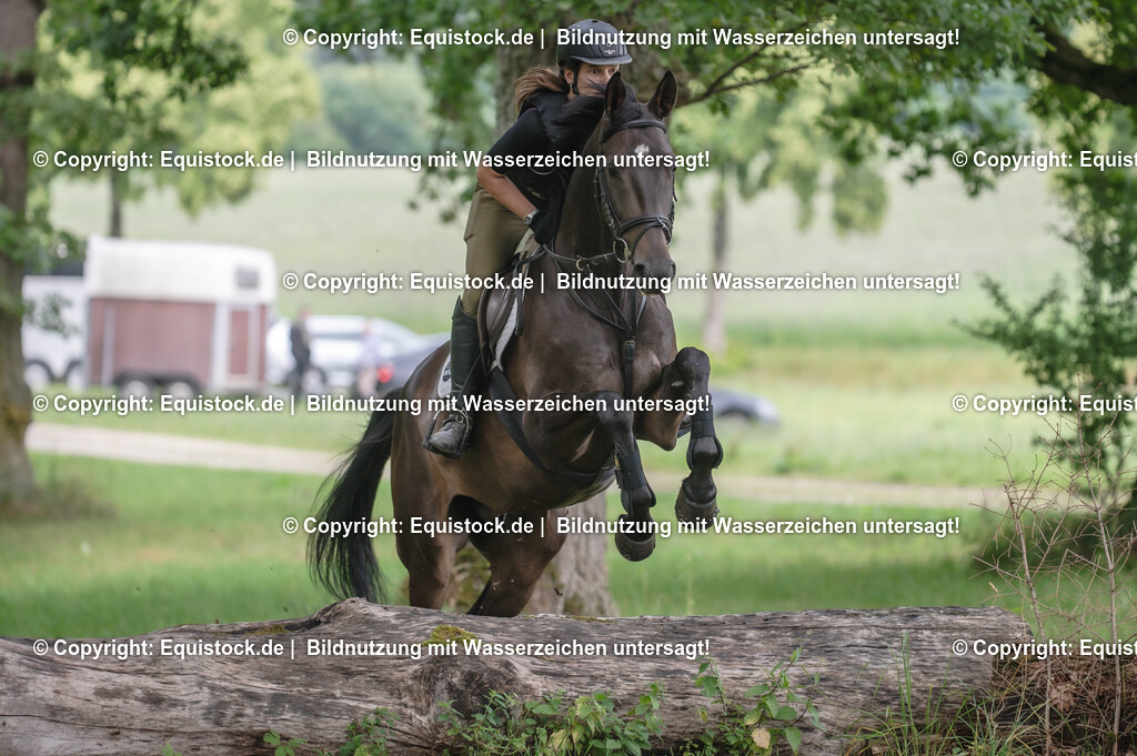20250726_Vielseitigkeitslehrgang-Marbach_0405 | Foto: Thomas Hartig