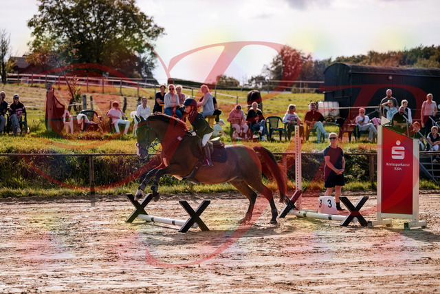 2026_10_03_Siefer-Hof_143807_Z81_07782855 | Professionelle Reitsport-, Turnier- und Eventfotografie von Robert Broda. Galerien mit ausgewählten und bearbeiteten Bildern direkt online ansehen und bestellen.