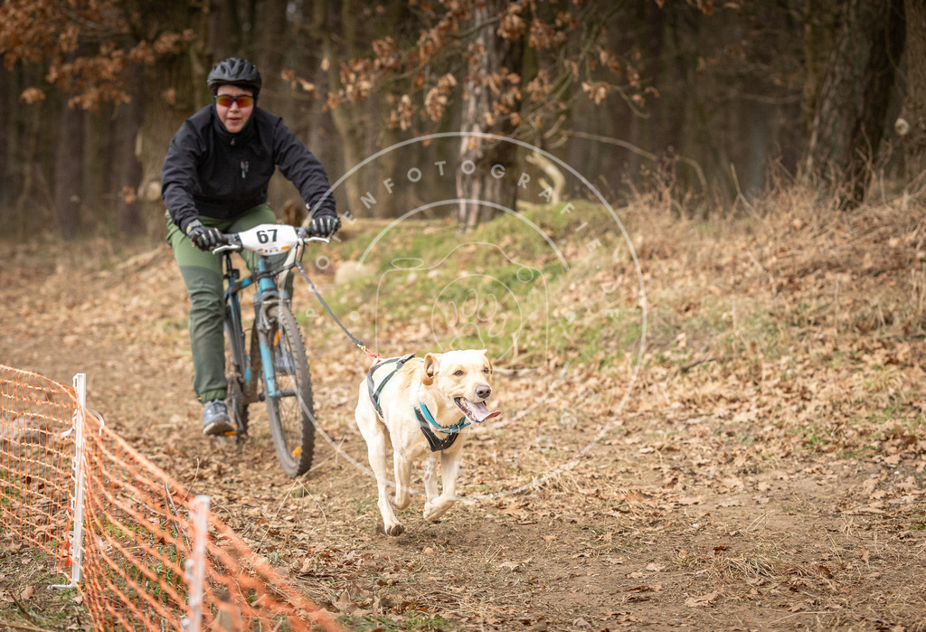 Pfotenfotografie_DV3A3430 | Hundefotografie, Tierfotograf, Pfotenfotografie, Fotoshooting Hund, Hunde Portrait, Hundesport, Hundeportraits, Heideshooting, Hunde, Sportfotograf, Hundefotograf, Turnierhundsport, THS,  - Realisiert mit Pictrs.com