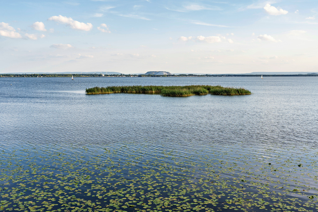 Steinhuder Meer | Abendstimmung am Steinhuder Meer. - Realisiert mit Pictrs.com