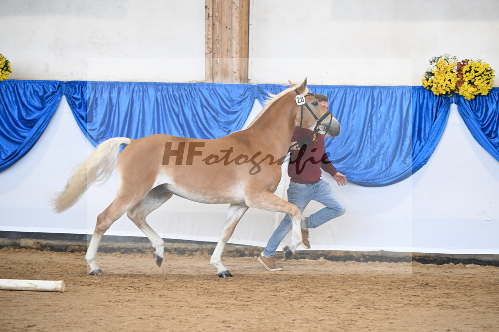 Kat-Nr. 28 nn v. Nio_Kirchberger_48251081 | hf-fotografie - Realisiert mit Pictrs.com