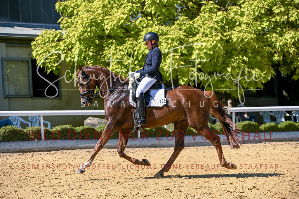 Schugtsche-Aluta25-50.Dressurpferdeprf.L-94 | Schugtsche Fotografie - Realisiert mit Pictrs.com