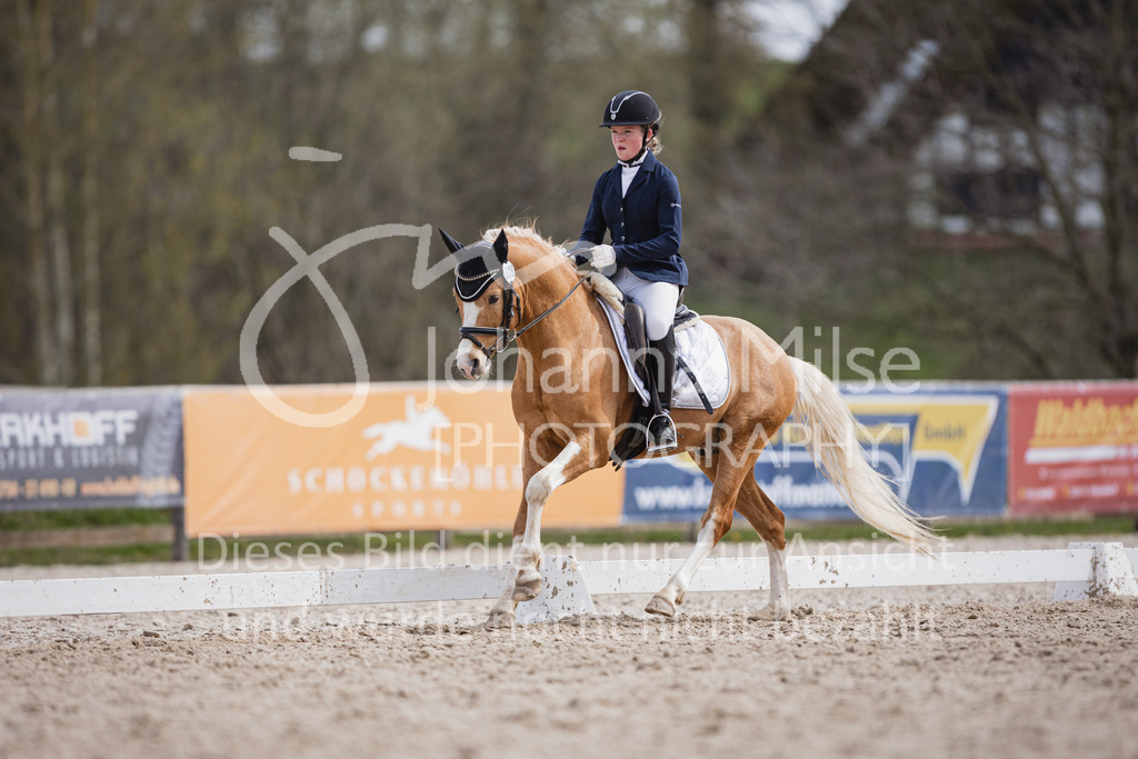 230410_Frühlingsfest_A-Dressur-548 | Deine schönsten Turniermomente als professionelle Fotos! Entdecke hochwertige Pferdesport-Fotografie im Online-Shop. Jetzt Fotos finden & bestellen!