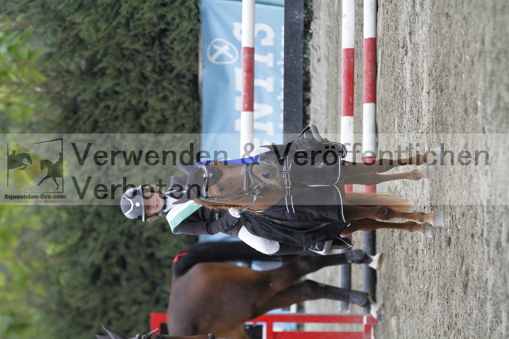 _MG_8096 | equestrian-live-com