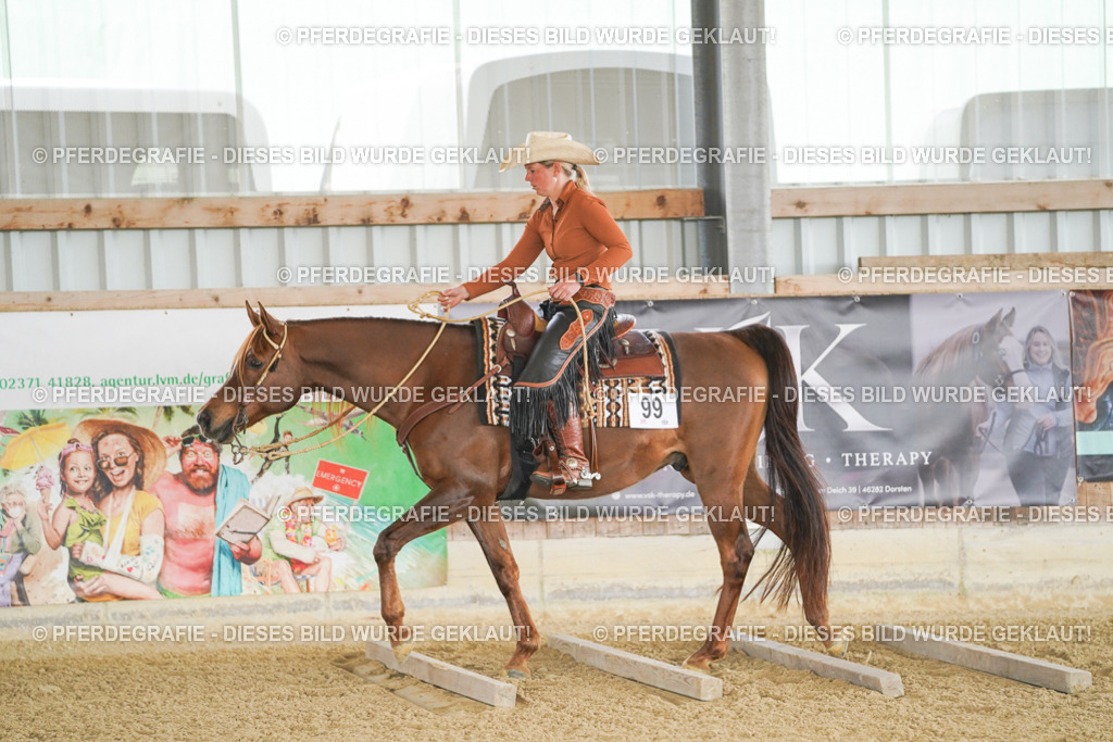 DSC02798 | Pferdegrafie