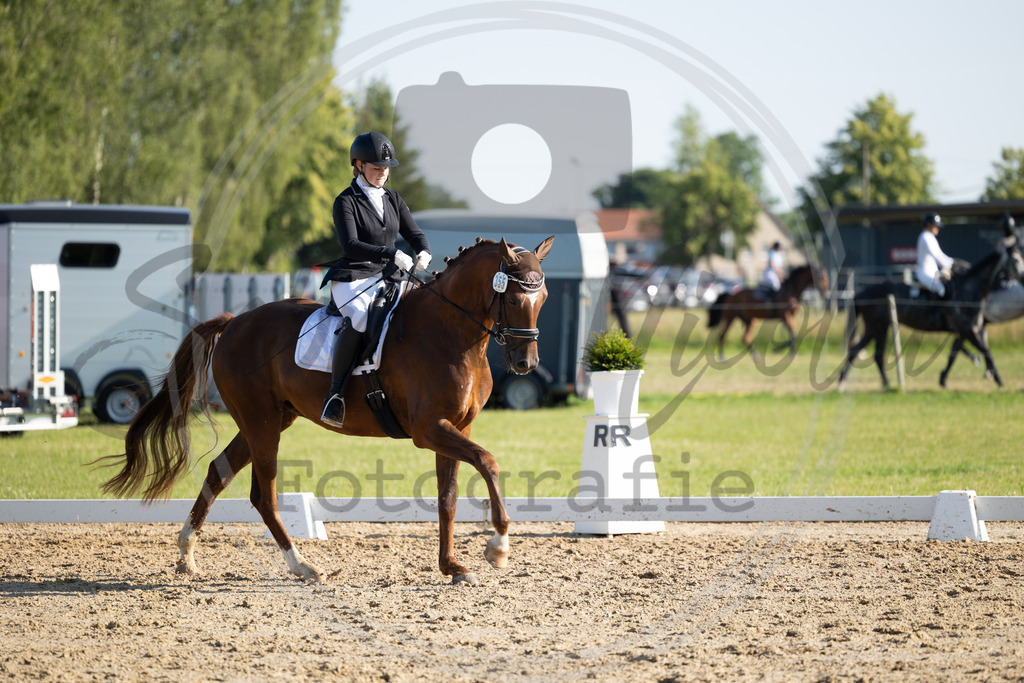 994A4050 | sabrinanicolaifotografie - Realisiert mit Pictrs.com