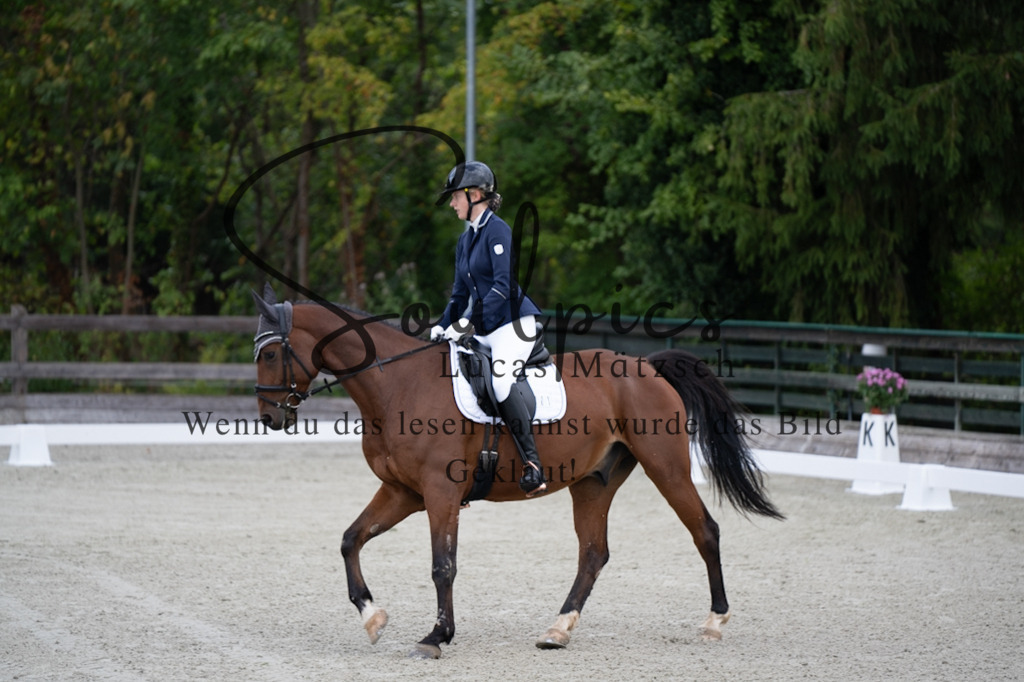 A7V06717 | Pferdefotograf