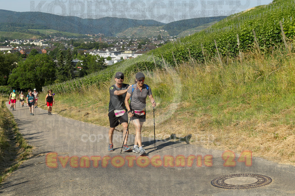 230617_0931_EV9_6572 | Sportfotografie im Rhein-Sieg Kreis, Köln, Bonn, NRW, Rheinland Pfalz, Hessen, etc. Unser Tätigkeitsfeld umfasst den Laufsport vom Volkslauf über den Marathon, Duathlon, Triathon bis zum Ultralauf wie Kölnpfad Ultra oder Schindertrail.