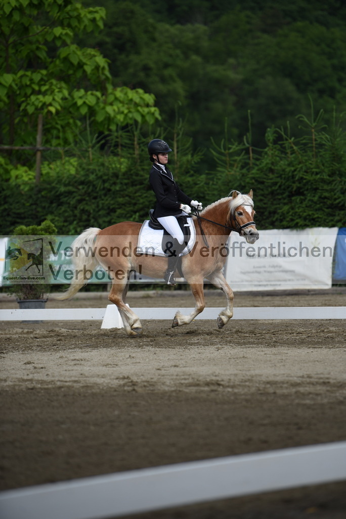 DSC_7731 | equestrian-live-com
