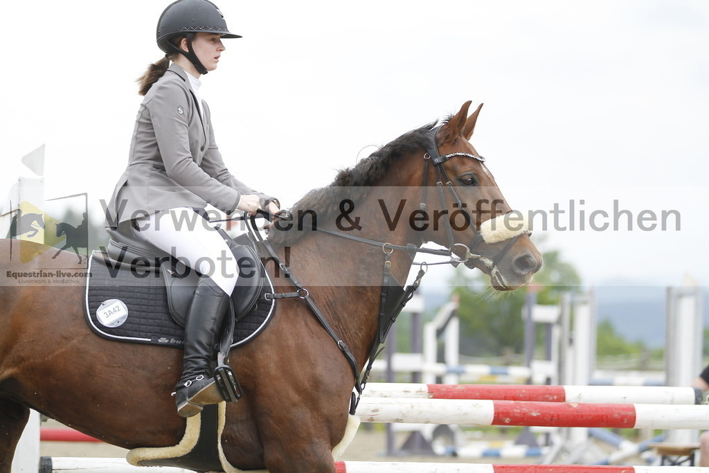 _MG_7547 | equestrian-live-com