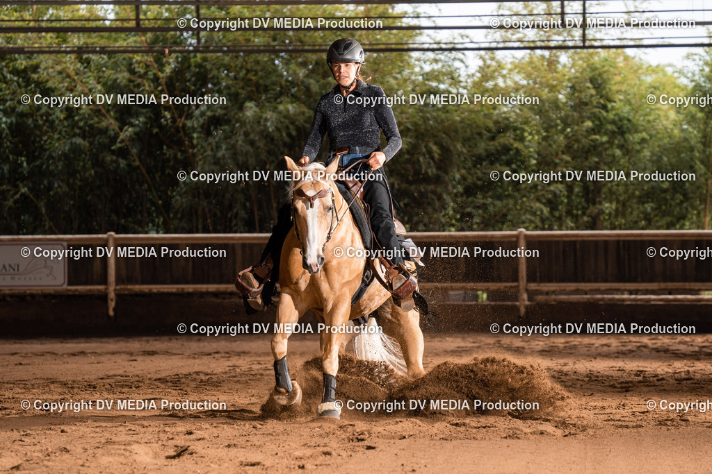 Erbach Tag 2-769 | dv-media-shop - Realisiert mit Pictrs.com