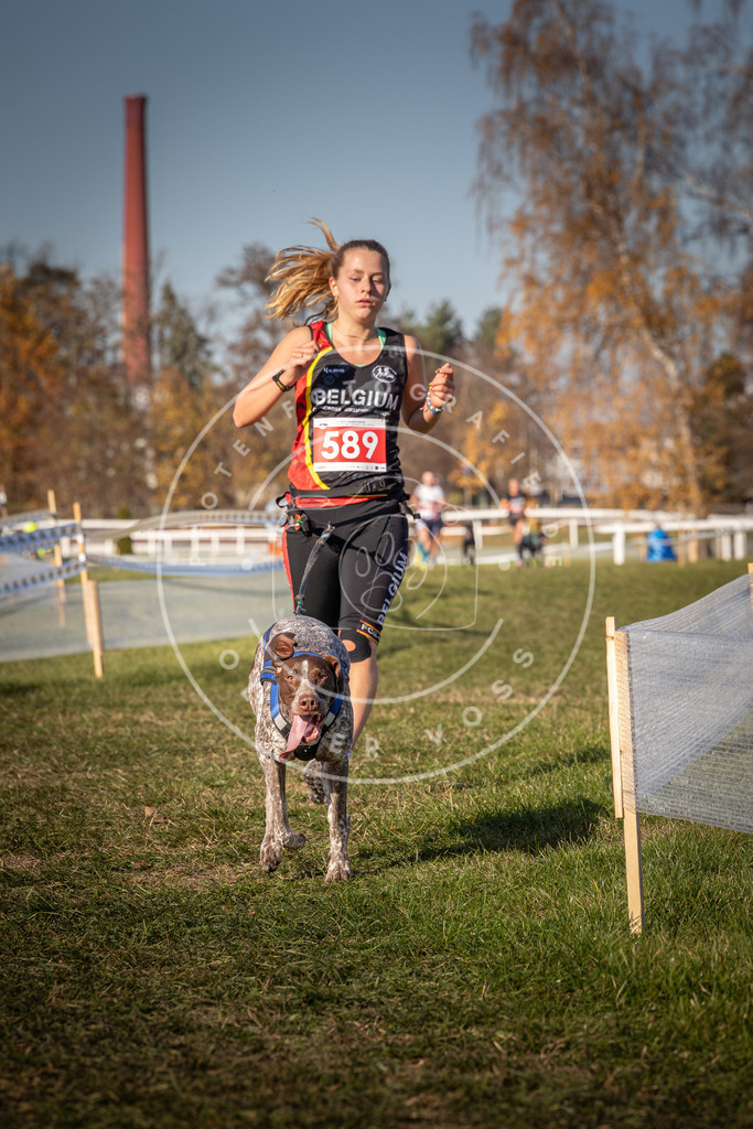 CaniXpix_0L8A8329 | Hundefotografie, Tierfotograf, Pfotenfotografie, Fotoshooting Hund, Hunde Portrait, Hundesport, Hundeportraits, Heideshooting, Hunde, Sportfotograf, Hundefotograf, Turnierhundsport, THS,  - Realisiert mit Pictrs.com