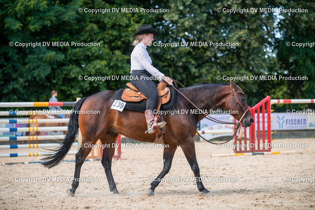 EWP_6829 | dv-media-shop - Realisiert mit Pictrs.com