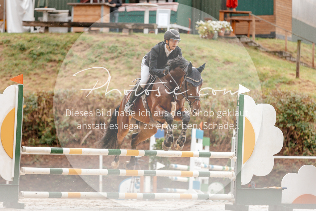 3I6A5696 | Stimmungsvolle Portraits und Reitsportfotografie im Ruhrgebiet und im Münsterland.

Pferdefotografie, Hundefotografie, Tierfotografie, Reportagen, Portraits von Tier und Mensch, Turnierfotografie in Bochum, Recklinghausen, Marl, Haltern am See, Dülmen.. - Realisiert mit Pictrs.com