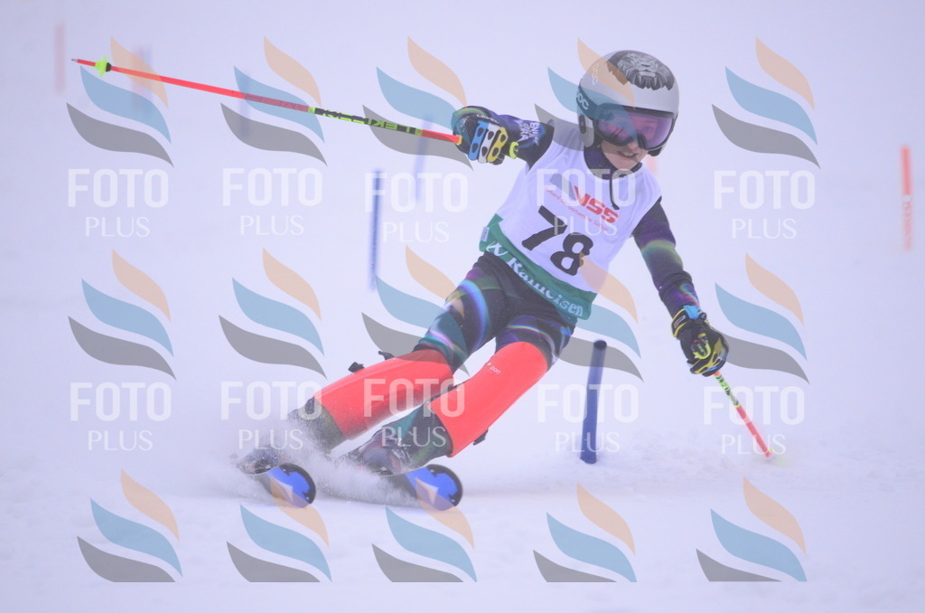 A4293 | holidayphoto