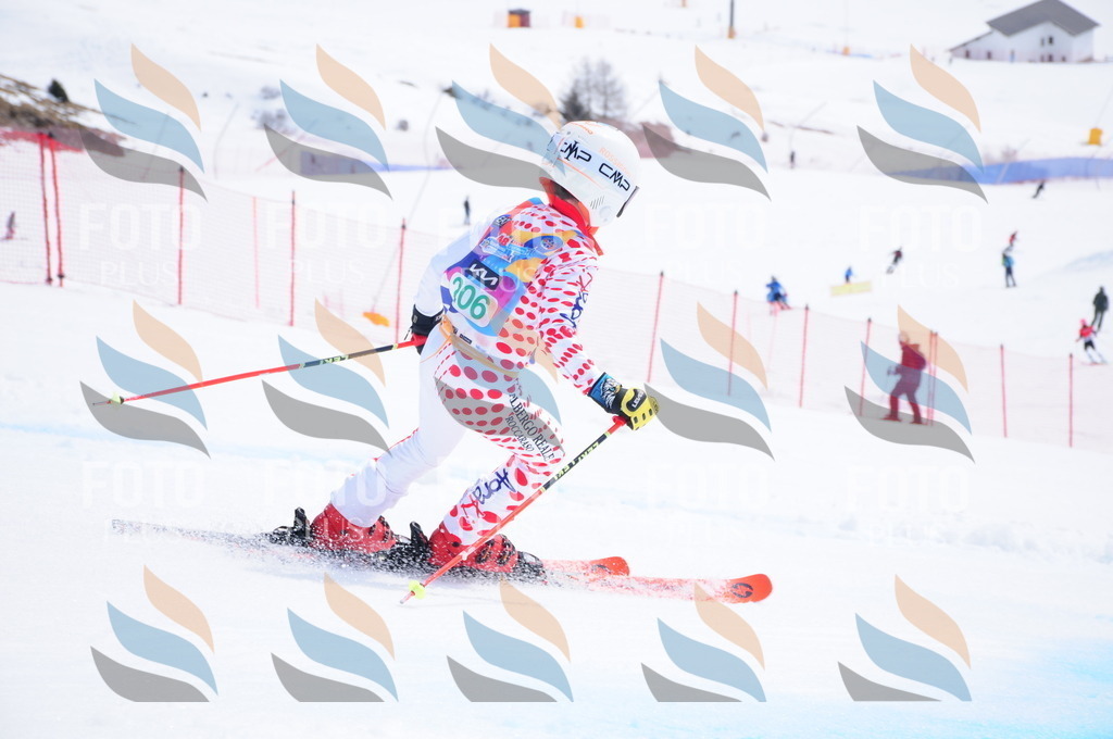 DSC_1856 | holidayphoto