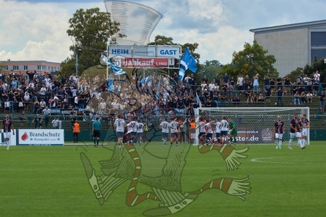 BFC Dynamo vs. SV Babelsberg 03 087 | mythos-online-redaktion