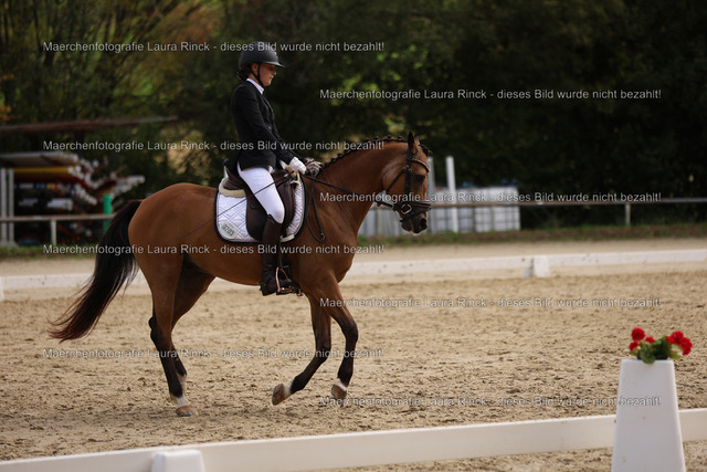 HG9A1349 | laurarinckfotografie - Realisiert mit Pictrs.com