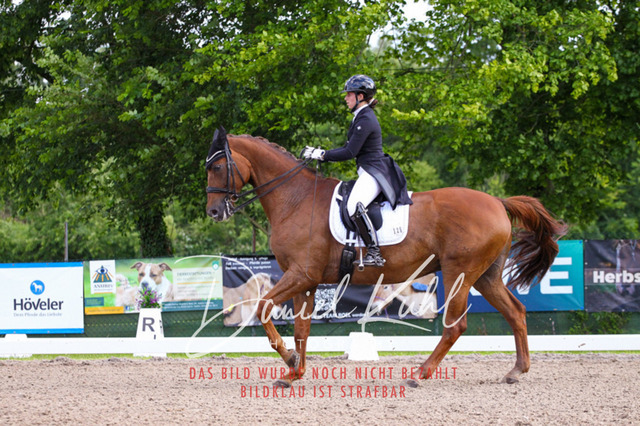 DKP41599 | Turnierfotos kaufen im Webshop von Daniel Kuhl Photography – entdecke professionelle Reitsportfotos aus Turnieren & Events. Hochwertige Turnierbilder online bestellen & sichern. Jetzt Fotos von Reitsportturnieren kaufen!