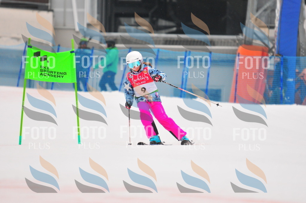 C0364 | holidayphoto