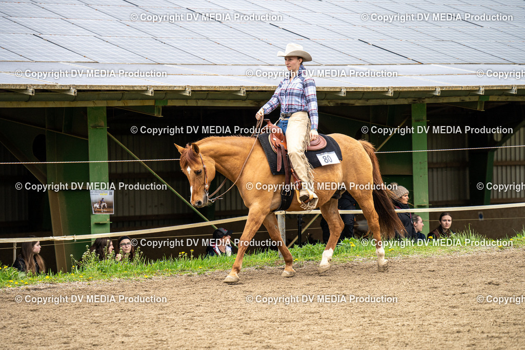 BAL00696 | dv-media-shop - Realisiert mit Pictrs.com