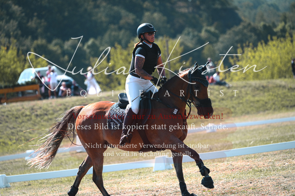 DSC_8030 | Pferde- und Turnierfotografie in Westsachsen. Pferdeportraits, Auftragszeichnungen und intuitive Kunst.