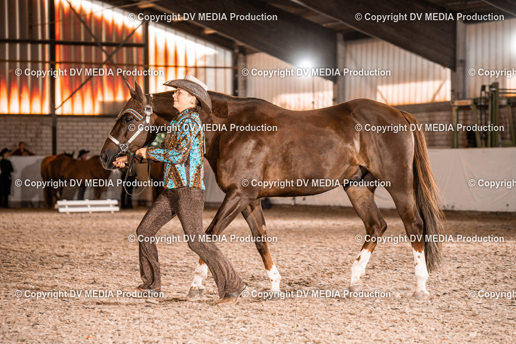 ZH100128 | dv-media-shop - Realisiert mit Pictrs.com