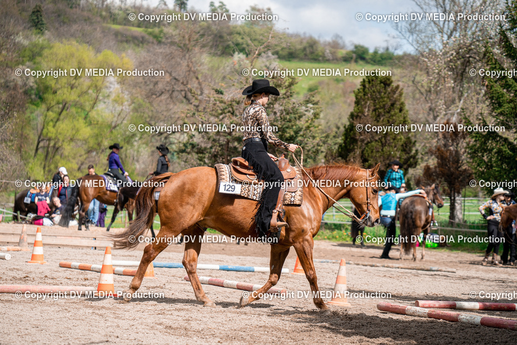 BAL02446 | dv-media-shop - Realisiert mit Pictrs.com