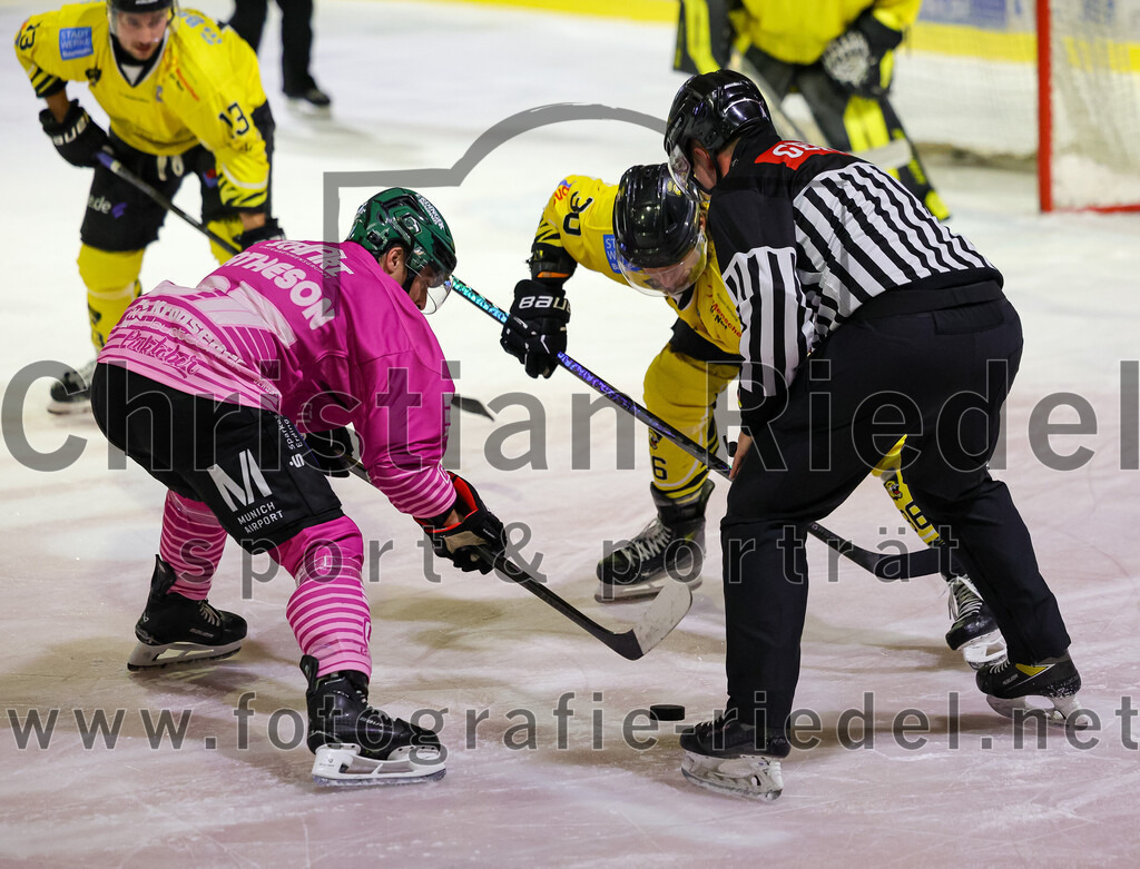 2025-10-10_148_TSV_Erding_gegen_onesto_Tigers_Bayreuth | Erding, Deutschland, 10.10.2025:Eishockey, Oberliga Süd 2025 / 2026, 7. Spieltag, TSV Erding gegen onesto Tigers Bayreuth, Endergebnis: 2:5Thomas Matheson (Erding Gladiators, #37), Sam Verelst (onesto Tigers Bayreuth, #36)Foto: Christian Riedel / fotografie-riedel.net