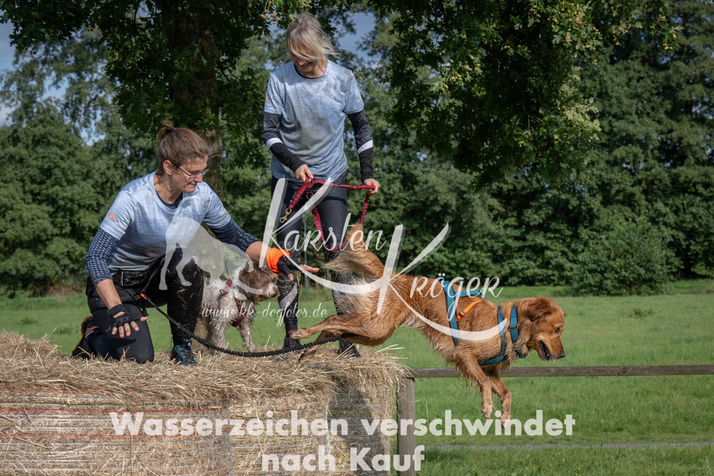 1608_ZZ91753 | kk-dogfotos