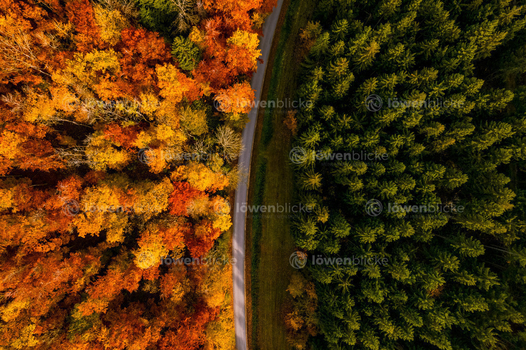 PErfect Woods | löwenblicke | shop