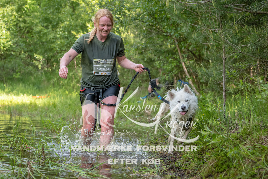 0951DKK9_ZZ93629 | kk-dogfotos