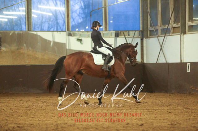 IMG_8351 | Turniersportfotografie; Pferdefotografie; Dressurfotografie