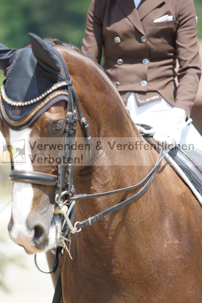 DSC05045 | equestrian-live-com