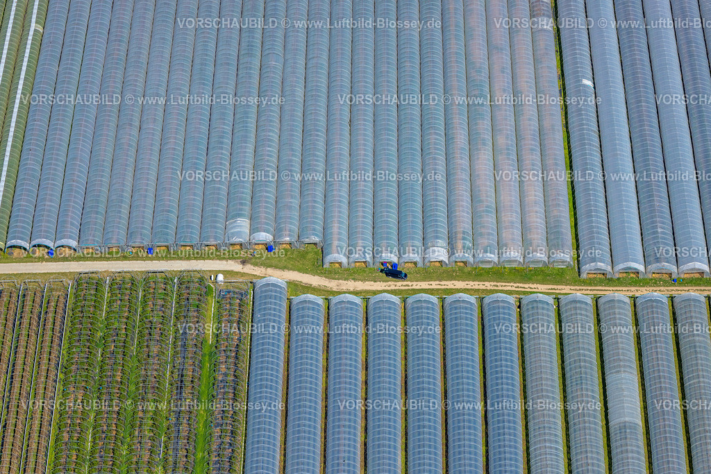 Bottrop250801287Kirchhellen | Luftbild, Gewächshäuser Tunnelüberdachungen, Kirchhellen-Nord-Ost, Bottrop, Ruhrgebiet, Nordrhein-Westfalen, Deutschland
