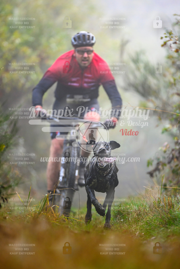 MompixPhotography_20TSB_E4_Bike-36 | PayLife