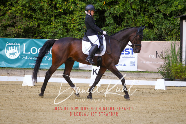 DKP41077 | Turniersportfotografie; Pferdefotografie; Dressurfotografie