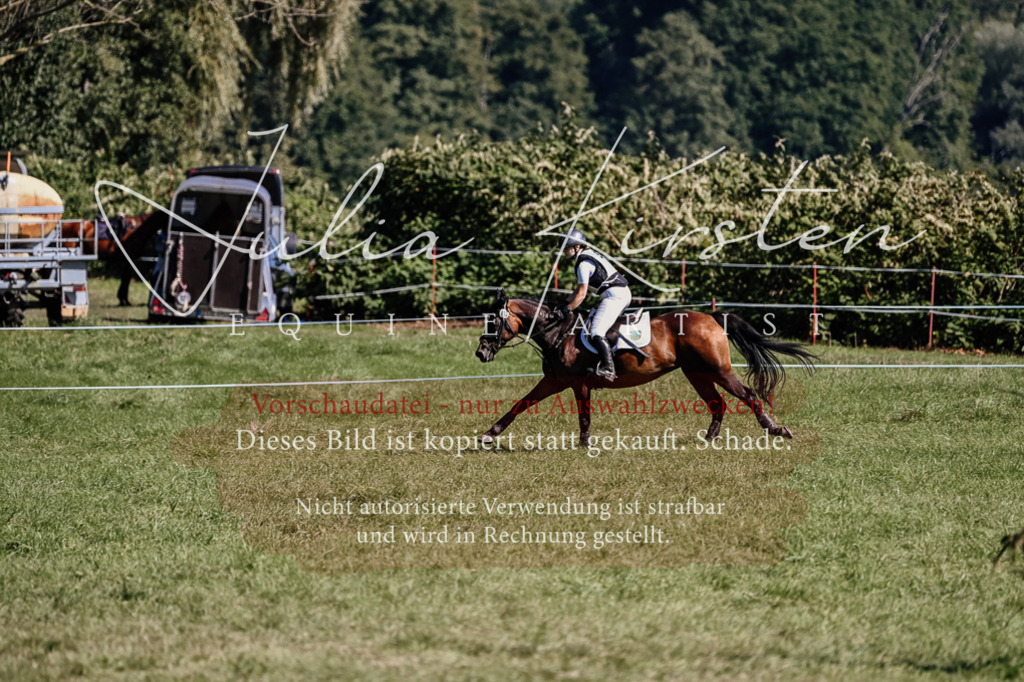 DSC_1492 | Pferde- und Turnierfotografie in Westsachsen. Pferdeportraits, Auftragszeichnungen und intuitive Kunst.