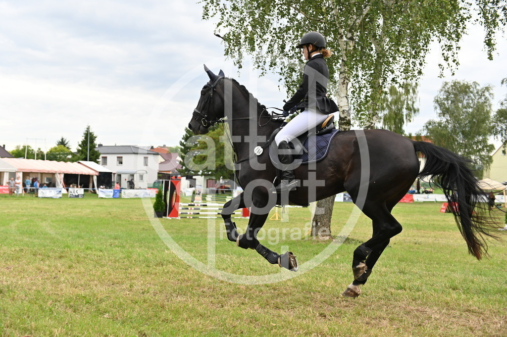 DSC_4059 | sattelsport - Realisiert mit Pictrs.com