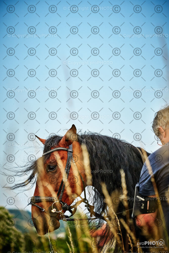 109_202406_Niki-Herodes_NZ9_9867 | proPHOTO - Realisiert mit Pictrs.com