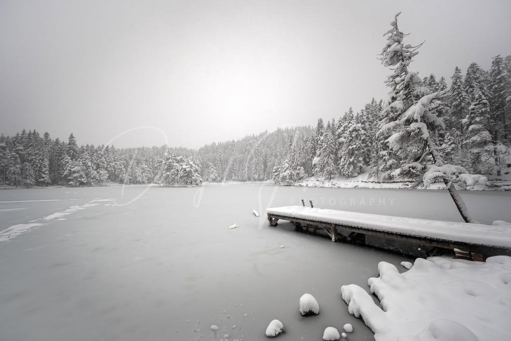 Möserer See | winter wonderland am Möserer See