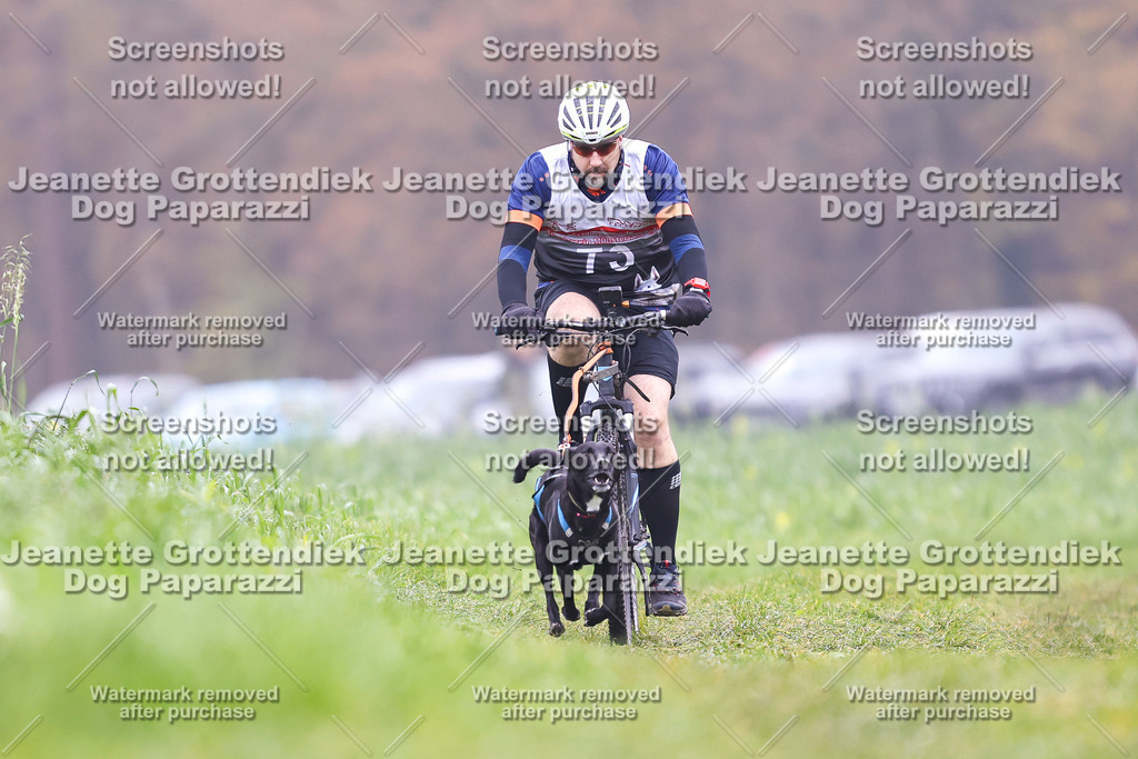 Dog Paparazzi - Visbeck 25 -206 | Dog Paparazzi Jeanette Grottendiek Fotografie & Videografie - Realisiert mit Pictrs.com